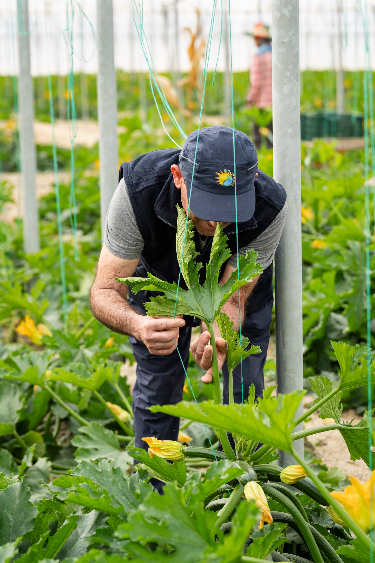 Agricultura ecológica