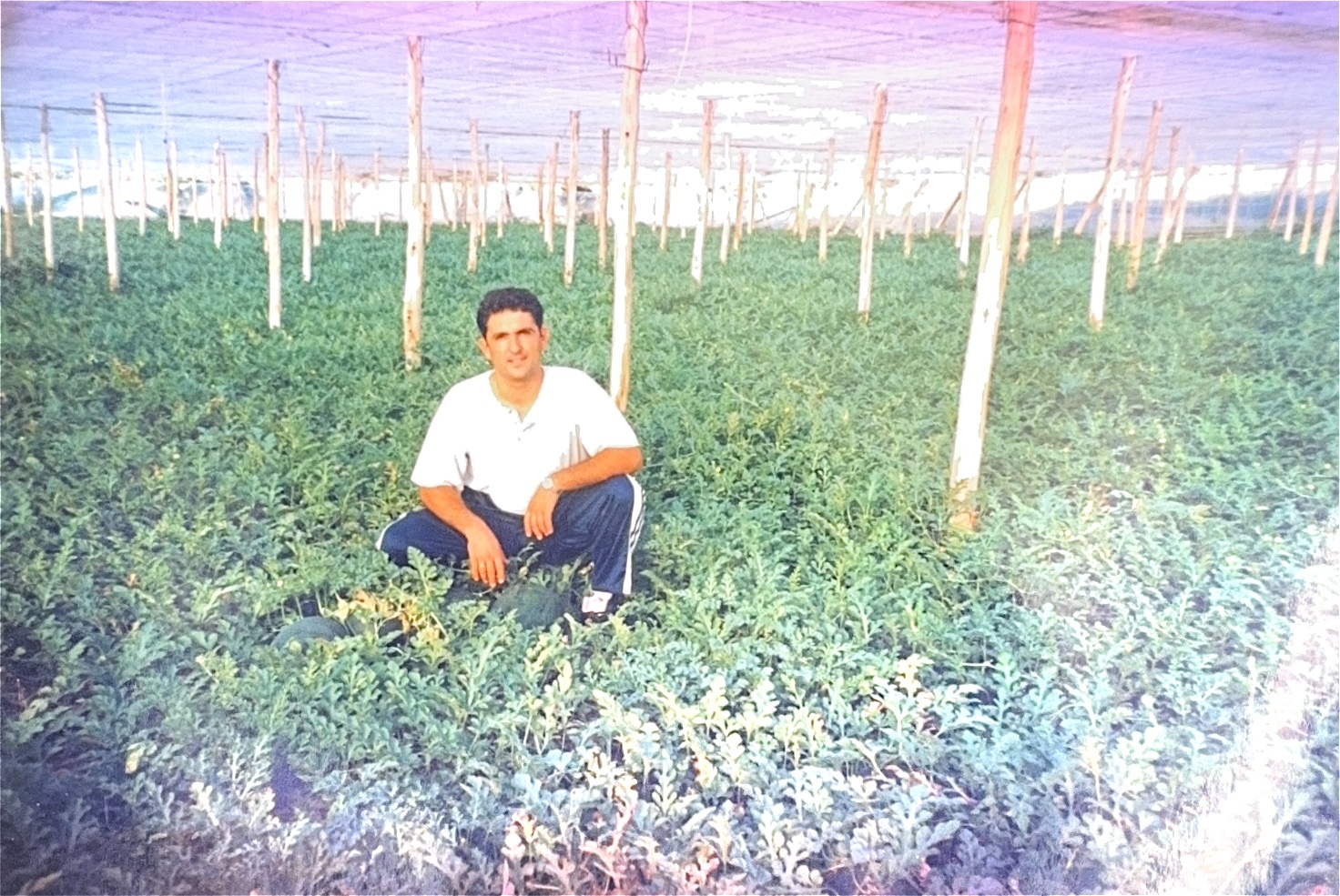 Comprar una finca cuando no había garantías