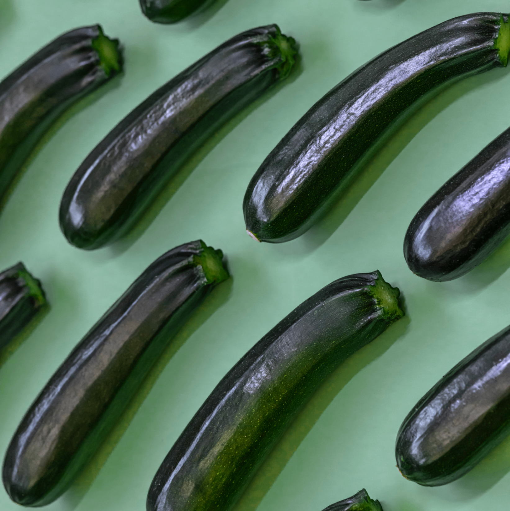 Calabacín ecológico