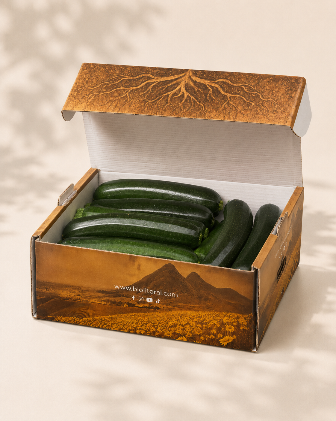 Caja de calabacín eco-lógico