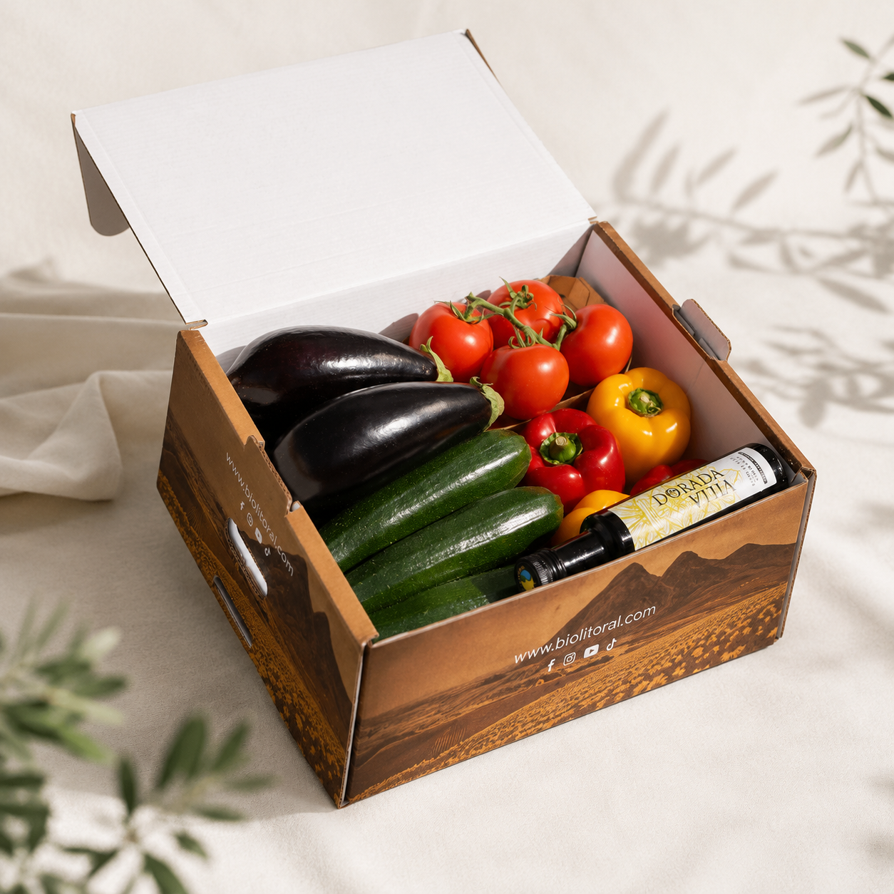 Caja mixta BioLitoral eco-lógica