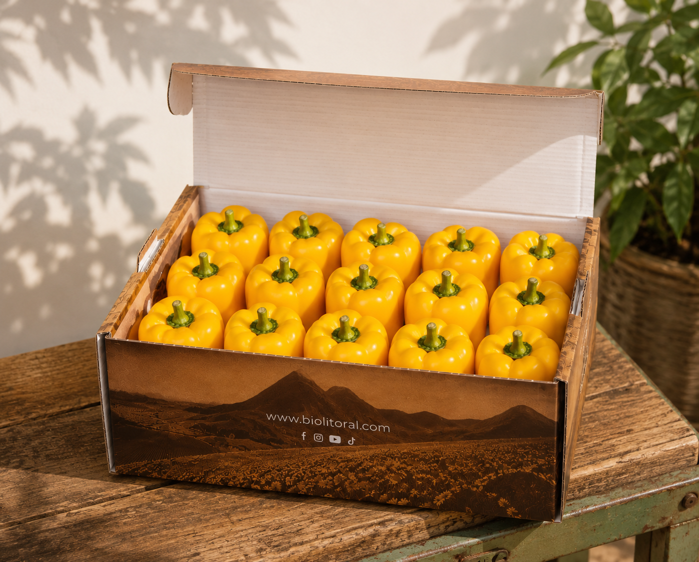 Caja de pimiento amarillo eco-lógico