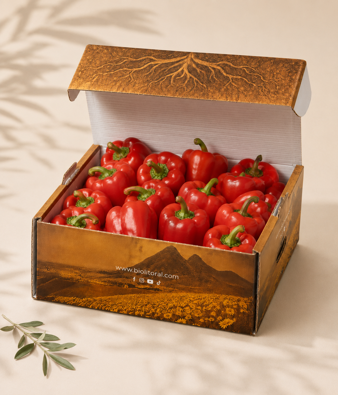 Caja de pimiento rojo eco-lógico