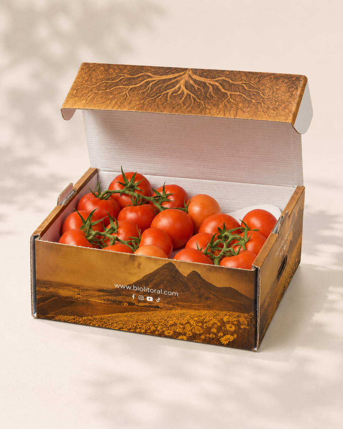 Caja de tomate eco-lógico