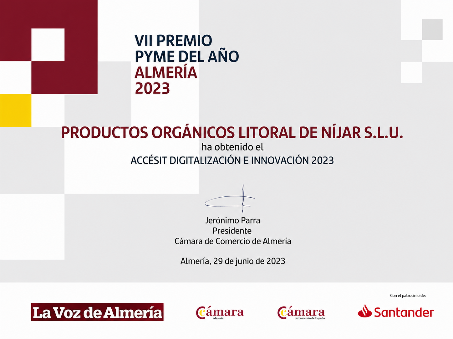 Diploma Premio PYME del Año 2023 Almería · Accésit Digitalización e Innovación