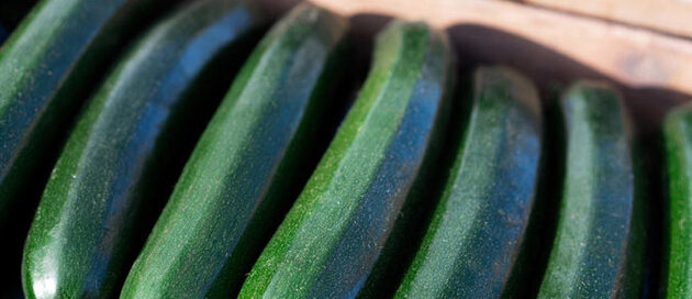Calabacines en una caja