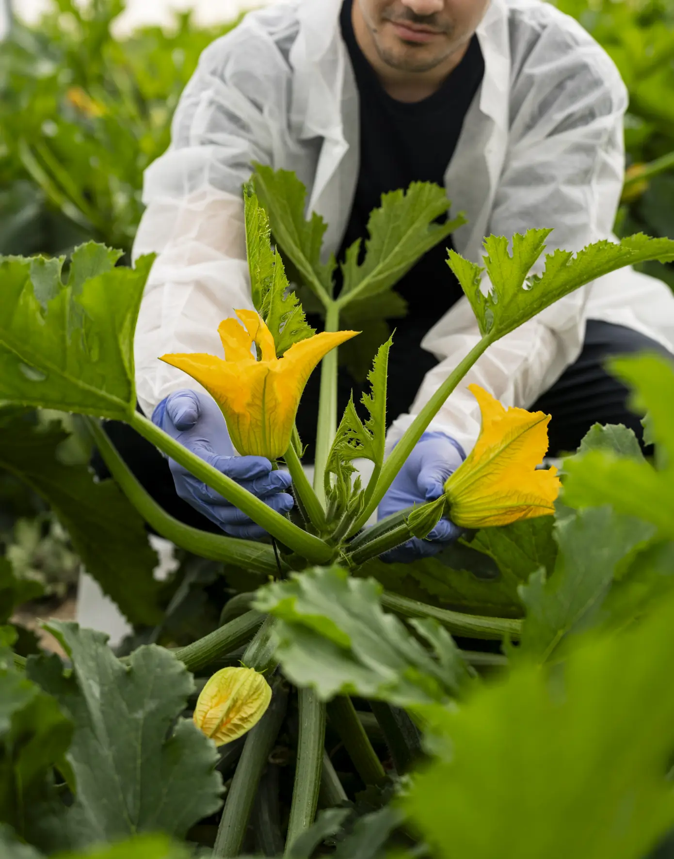 biolitoral – 4 Compromiso con la sociedad, agricultura social y sostenible